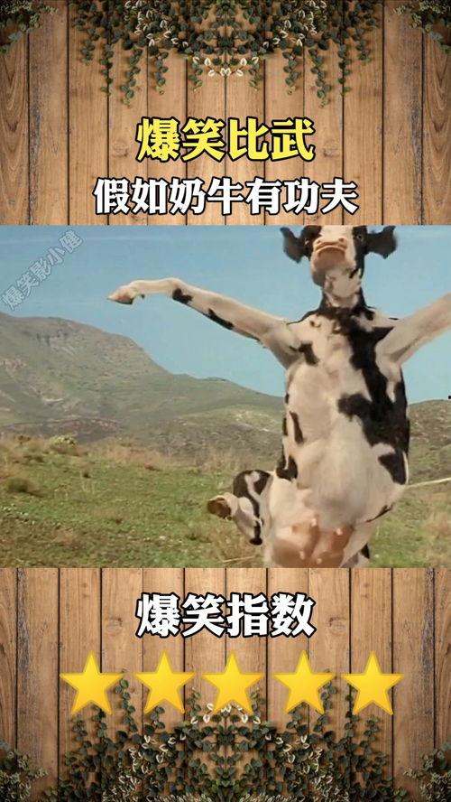 搞笑比武,搞笑比武大会，谁才是真正的笑匠？