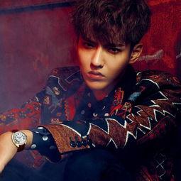 吴亦凡红色衣服背景,吴亦凡红衣映衬下的时尚风采