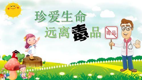 生命禁毒背景音乐,探寻生命禁毒背景音乐的深远意义