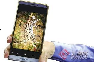 男子为当网红打猎,男子为走红网络疯狂打猎，道德底线何在？